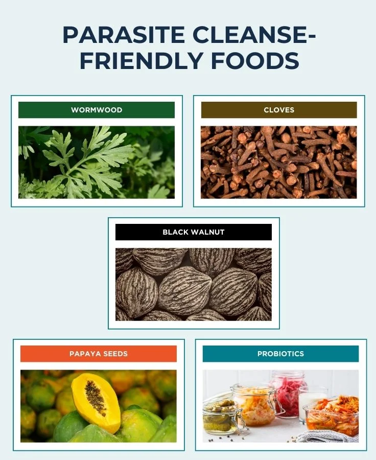 infographic showing five foods that support parasite cleanse at home