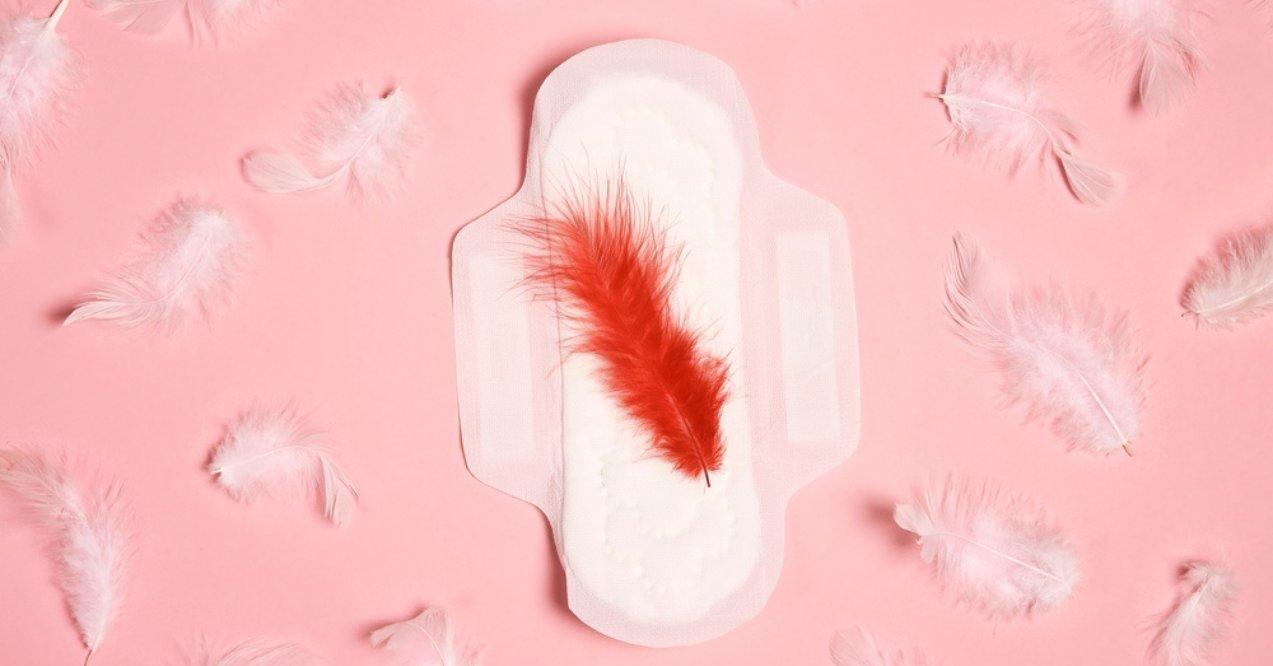 Menstrual Pad With Red and White Feathers on Pink Background