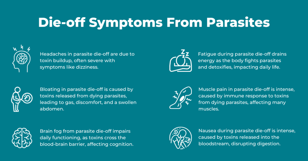 How Long Does Parasite Dieoff Symptoms Last? PureHealth Research