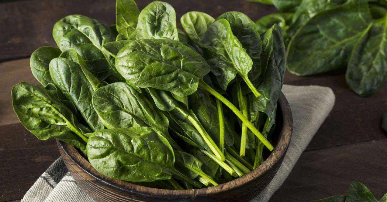 Raw Green Healthy Organic Spinach Ready to Eat