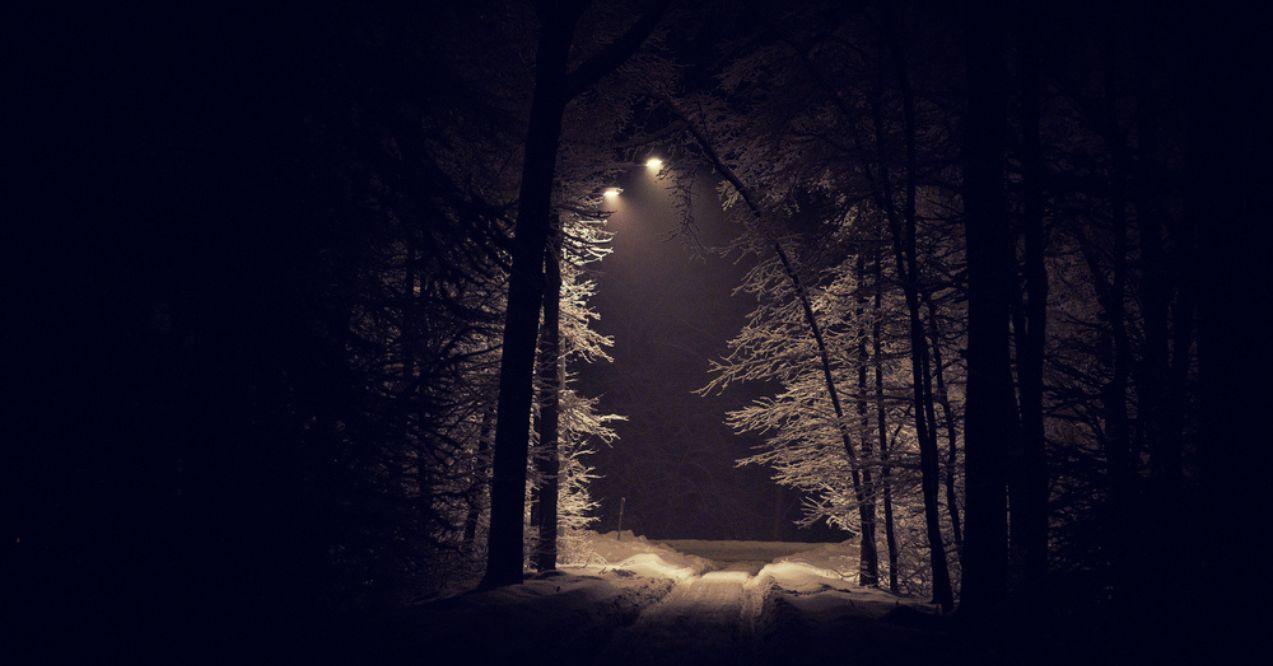Landscape of night winter forest covered by snow