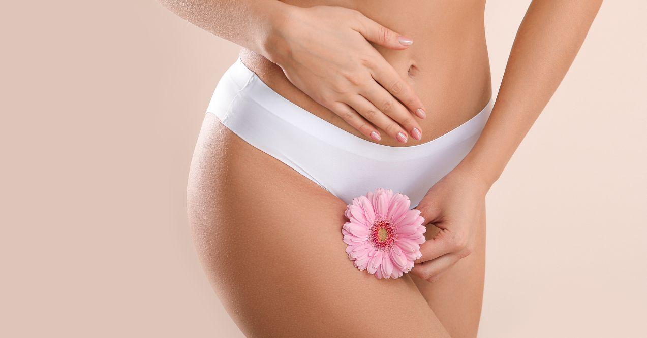 woman with panties is holding a blooming flower in front of her vagina