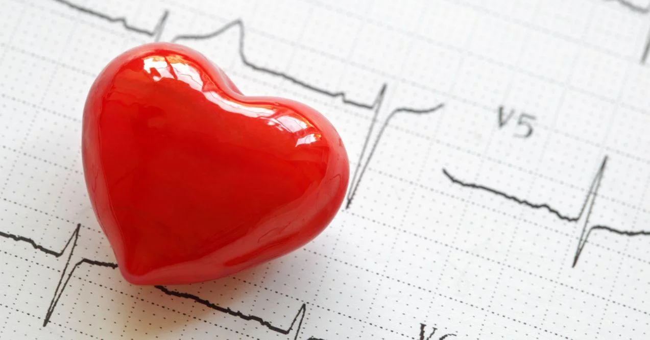 Cardiogram pulse trace and heart concept