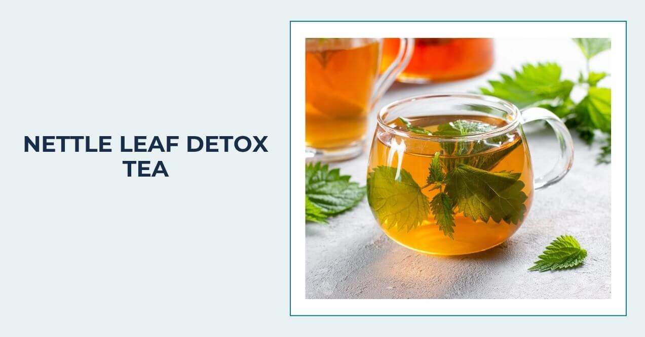 Glass cup of nettle tea with fresh nettle leaves around the cup.