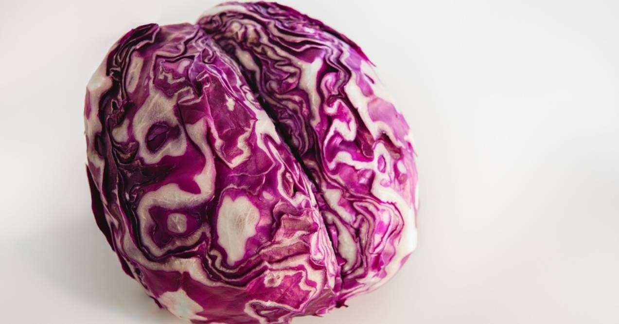 Red cabbage cut in a shape of brain