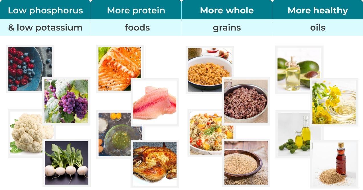 Illustration showing best foods for kidney disease - low phosphorus and potassium foods, protein foods, whole grains and healthy oils