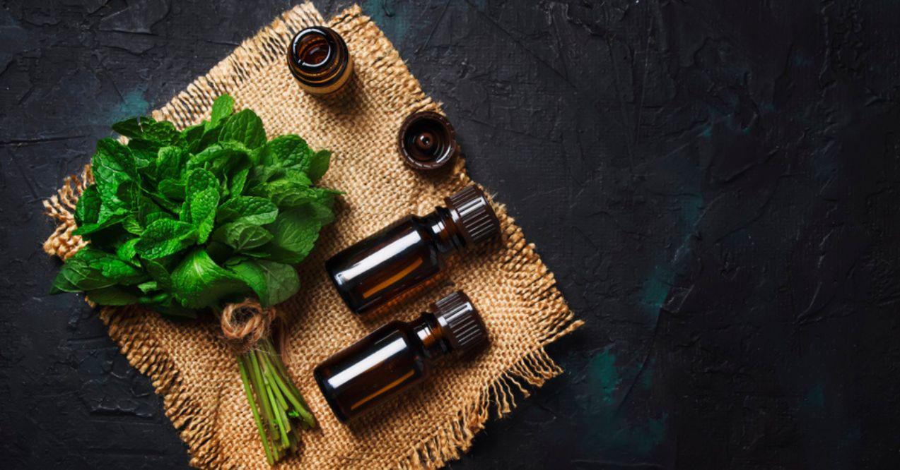 Essential oil of peppermint in a small brown bottle with fresh green mint