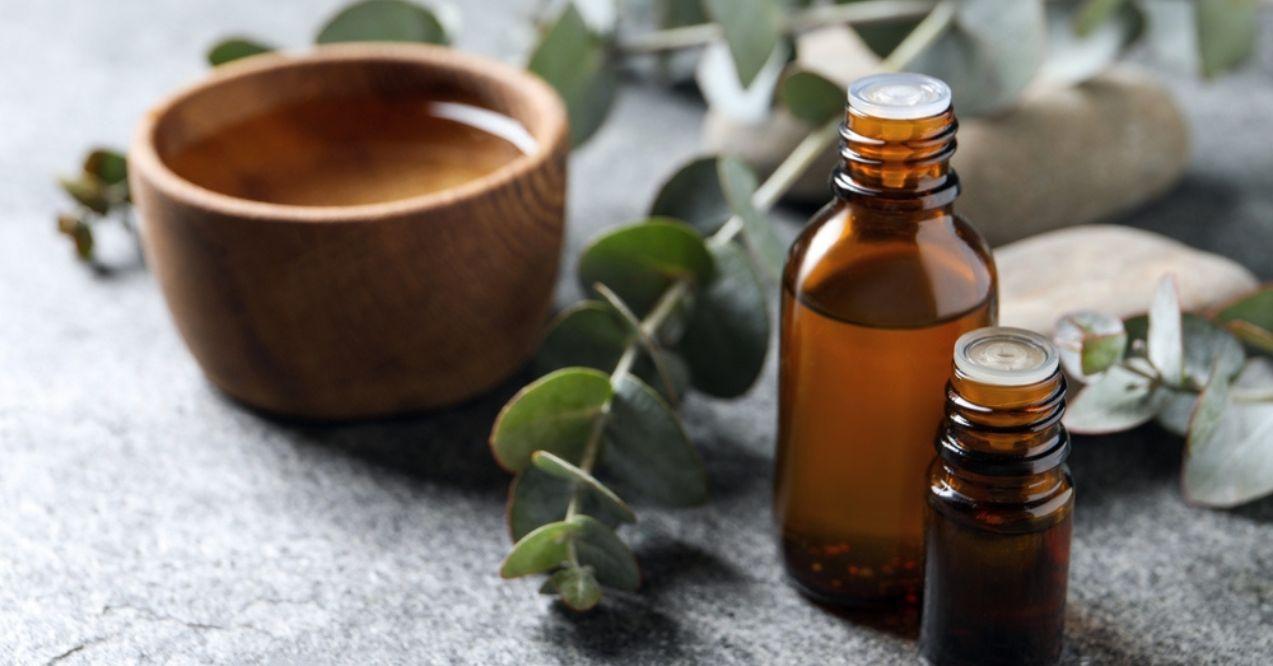 Bottles of eucalyptus essential oil