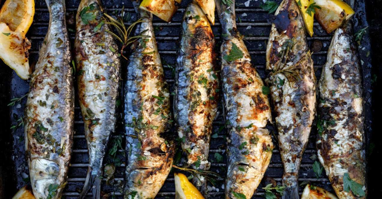 Grilled sardines in a herbal lemon marinade on a grill plate
