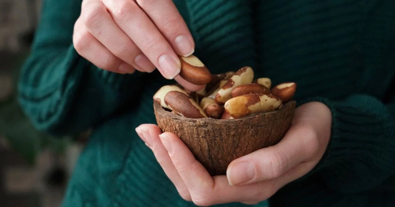 Hands holding a half coconut shell full of Brazil nuts