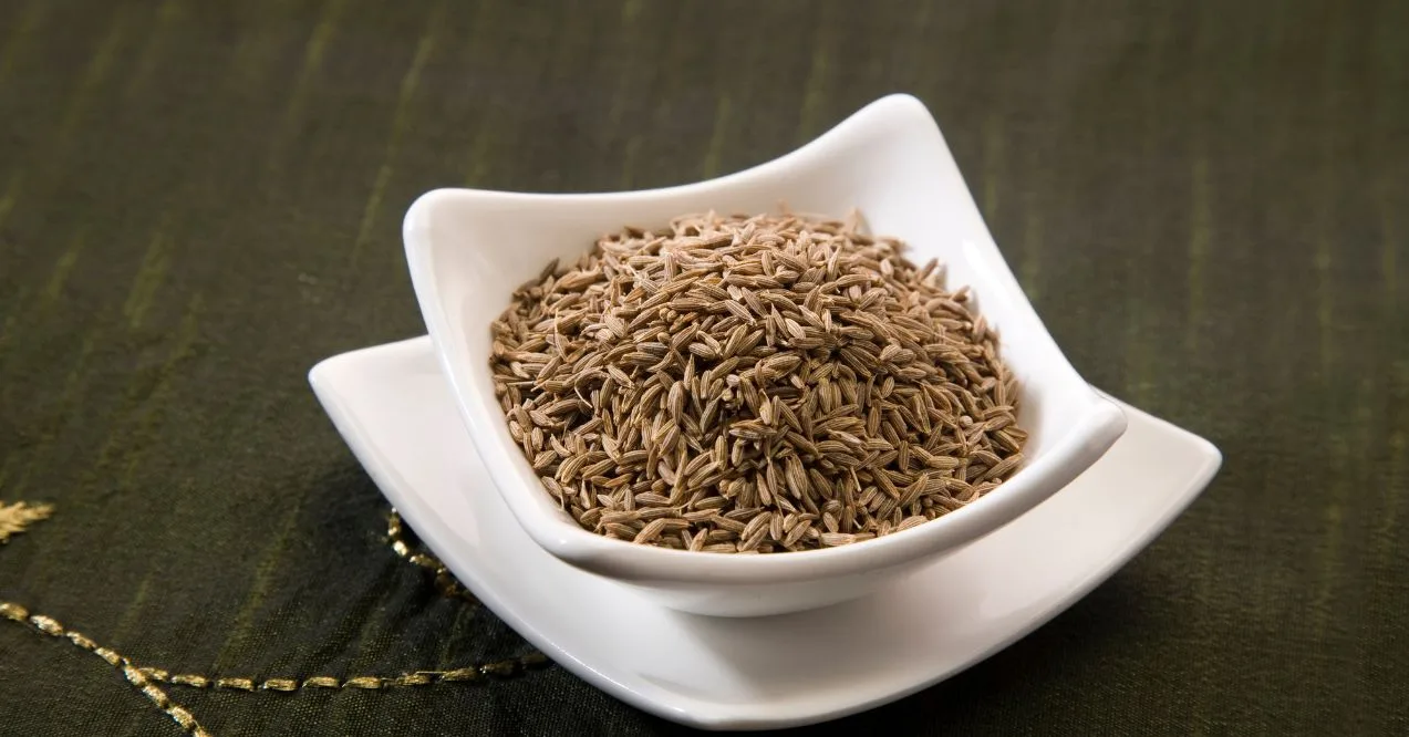 cumin seeds in a small bowl
