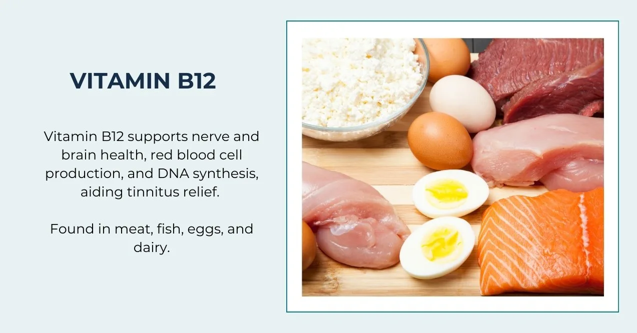 Image of vitamin B12 foods on the right and supporting text on the left