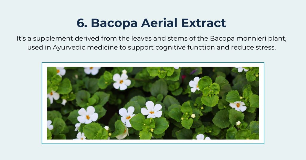 Illustration of Bacopa Extract