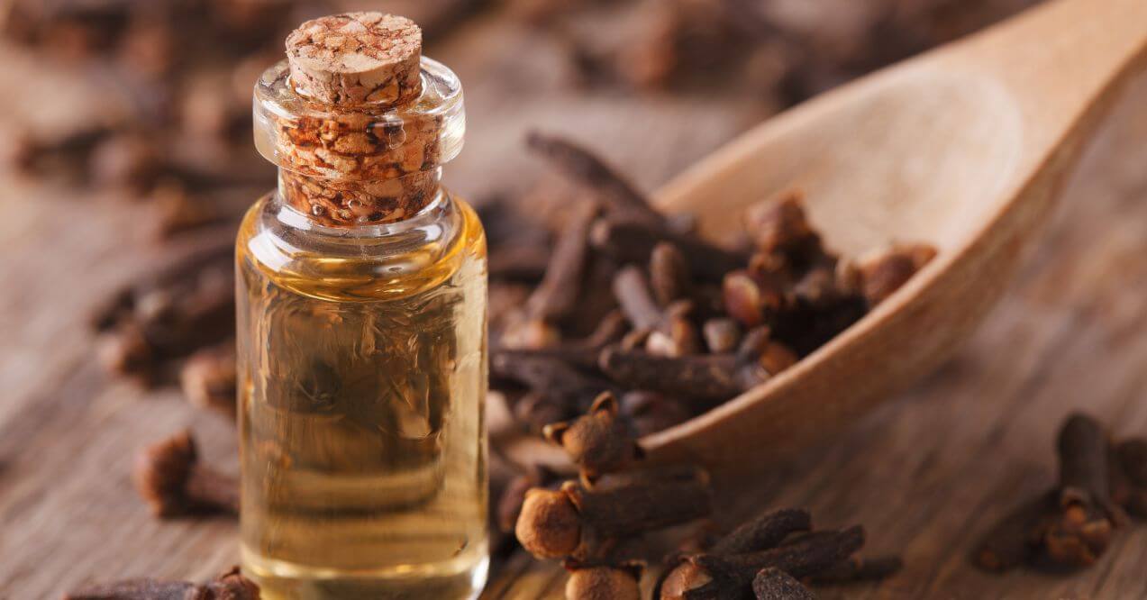 Small glass bottle of clove oil with whole cloves and a wooden spoon on a rustic surface.