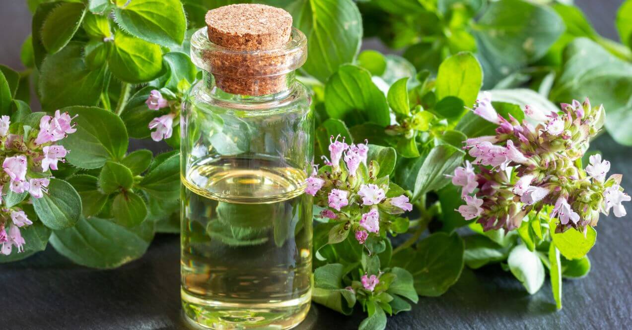 Glass bottle of oregano oil surrounded by fresh oregano leaves and small purple flowers.