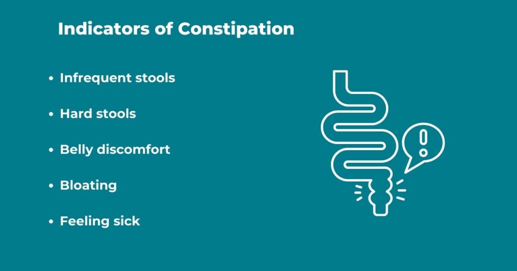 Infographic titled 'Indicators of Constipation,' listing symptoms such as infrequent stools, hard stools, belly discomfort, bloating, and feeling sick, with a stylized digestive tract icon.