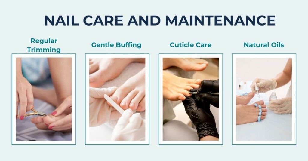 Infographic titled 'Nail Care and Maintenance' highlighting four categories: Regular Trimming, Gentle Buffing, Cuticle Care, and Natural Oils, with images depicting each activity.