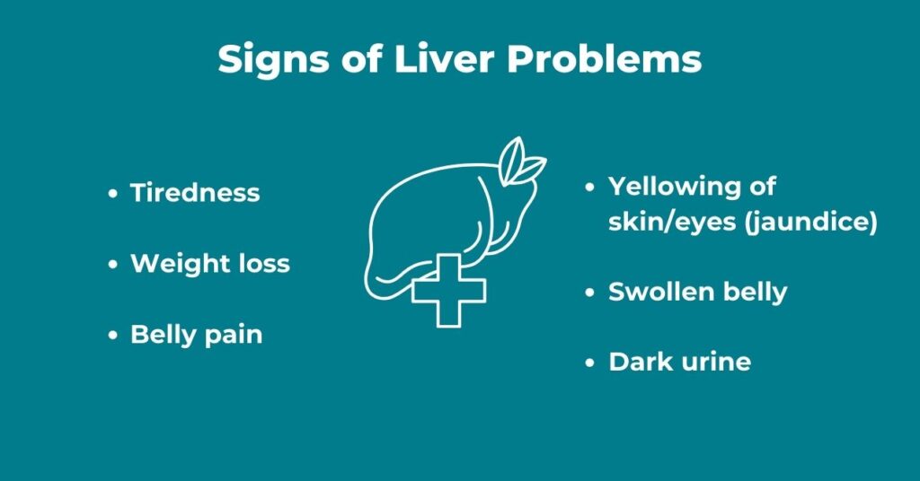 Infographic titled 'Signs of Liver Problems,' listing symptoms like tiredness, weight loss, belly pain, yellowing of skin/eyes (jaundice), swollen belly, and dark urine, with a liver icon in the center.