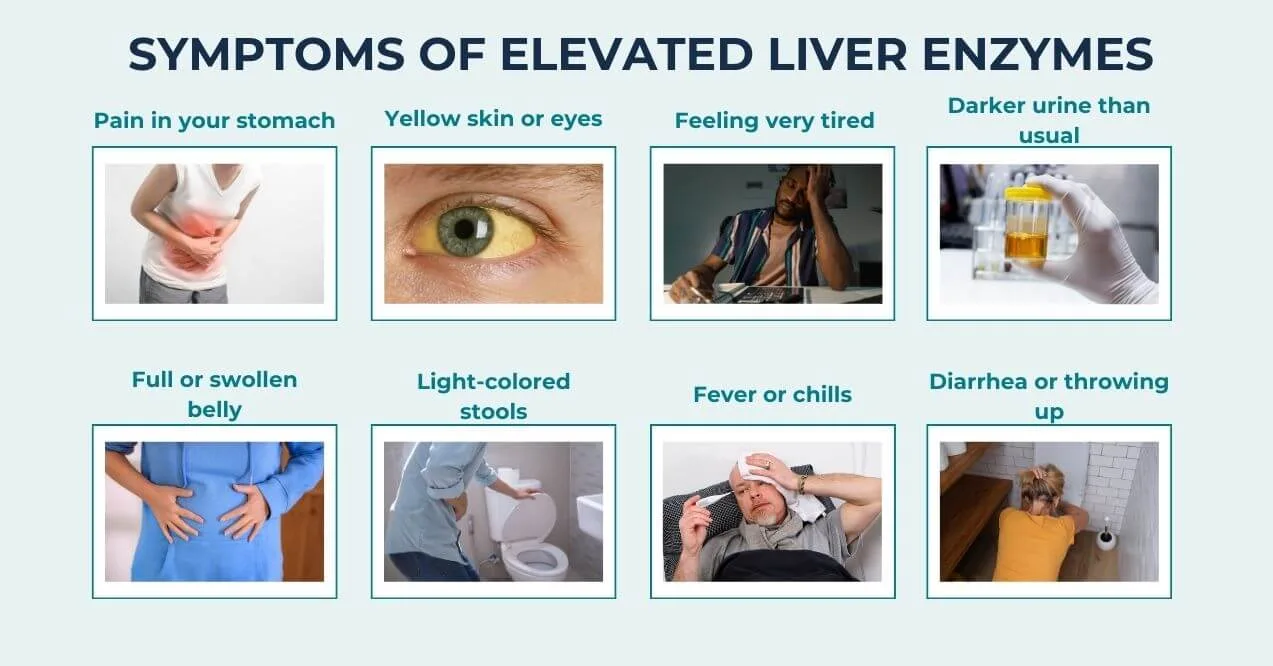 Symptoms of elevated liver enzymes infographic showing different symptoms such as stomach pain, yellow skin or eyes, fatigue, dark urine, full or swollen belly, light-colored stools, fever or chills, and diarrhea or vomiting.