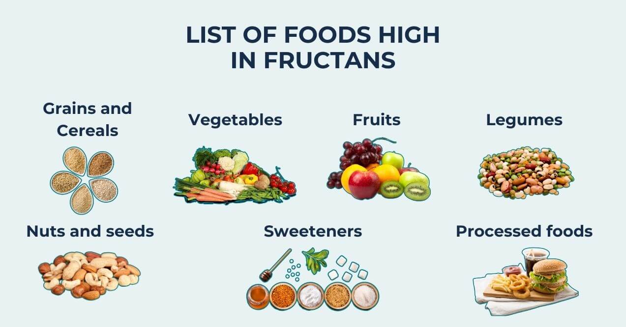 Examples of foods containing fructans, including grains, vegetables, and fruits.