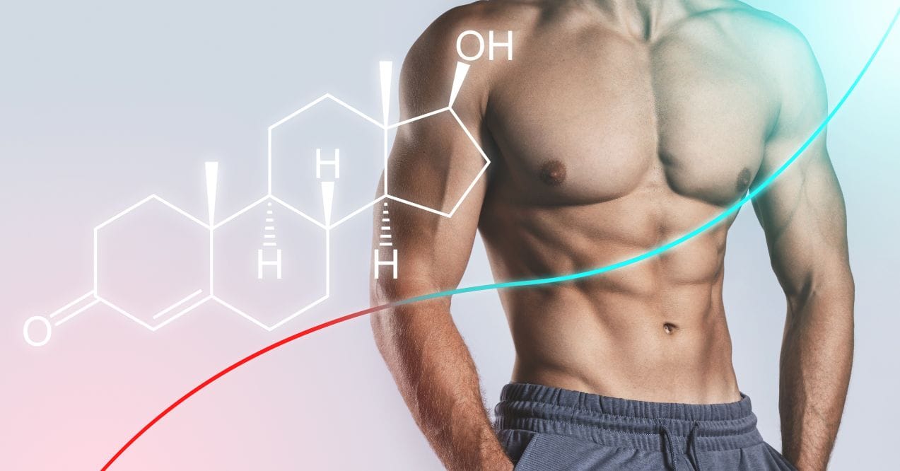 Muscular male torso with testosterone chemical structure overlay showing male hormonal cycle.