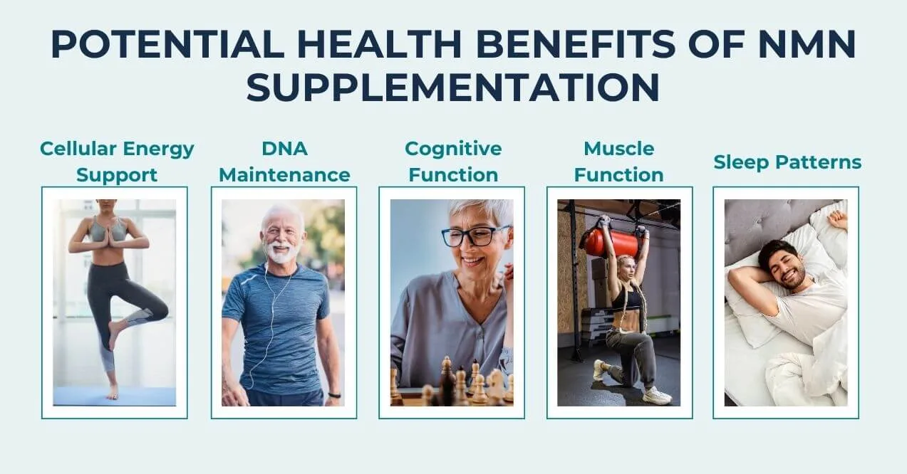 Infographic showing potential health benefits of NMN supplementation with five categories.