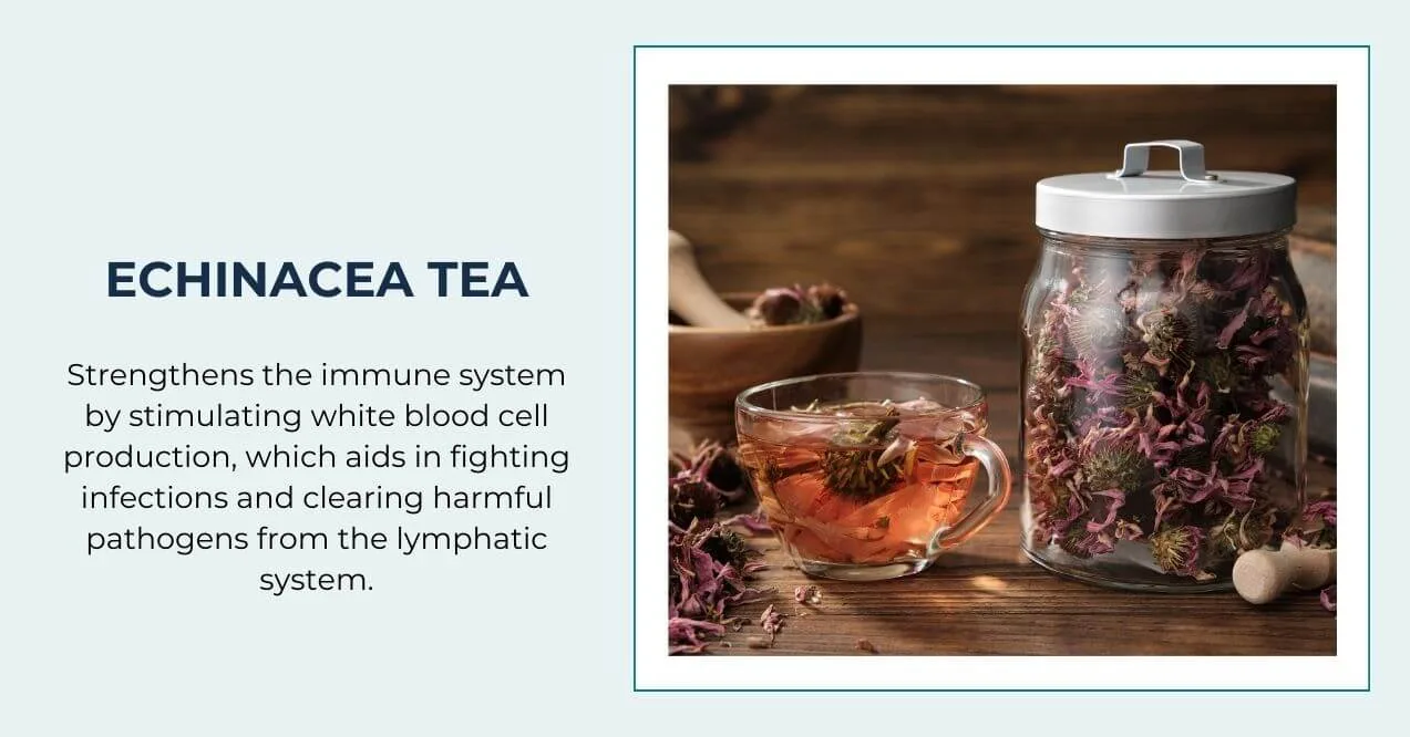 A glass cup of echinacea tea with dried echinacea flowers in a jar, boosting immunity.
