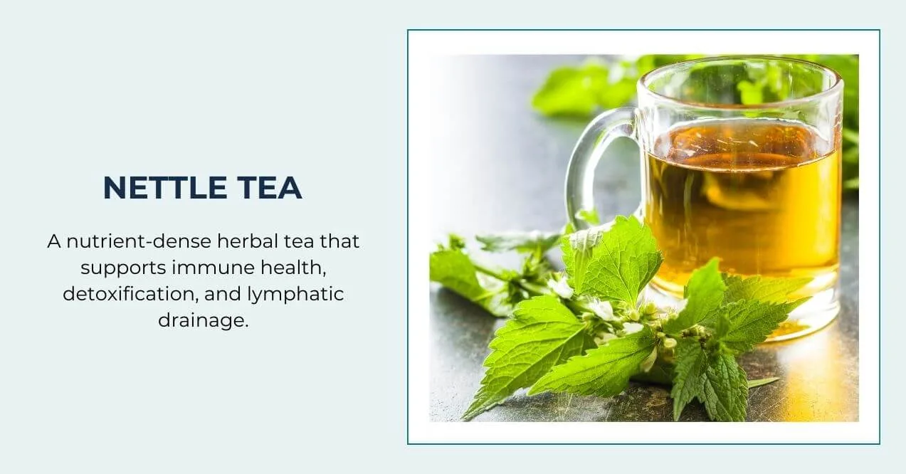 A glass mug of nettle tea with fresh nettle leaves, supporting detox and immune health.