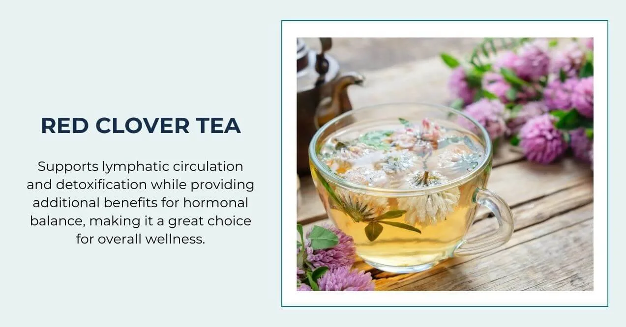 A clear cup of red clover tea with floating flowers, promoting lymph circulation.