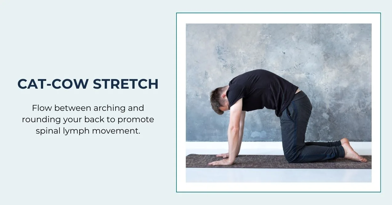 Man doing cat-cow stretch to support spinal lymphatic drainage exercises