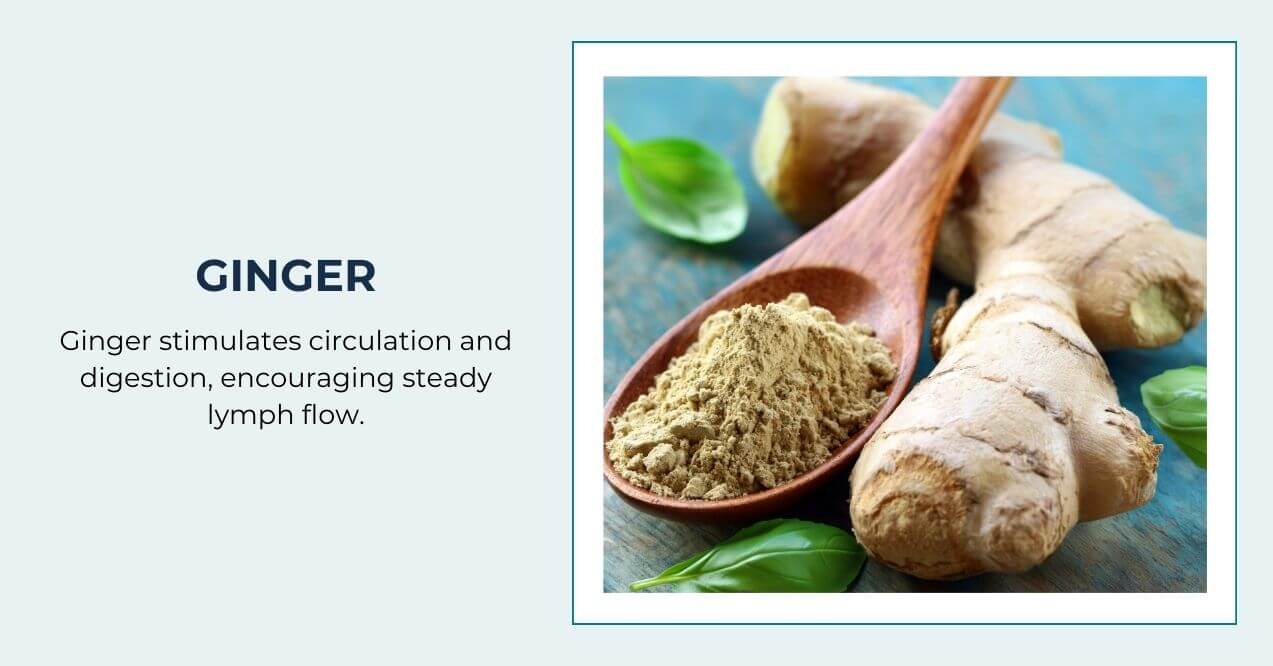 Wooden spoon with ground ginger next to fresh ginger root and basil leaves.