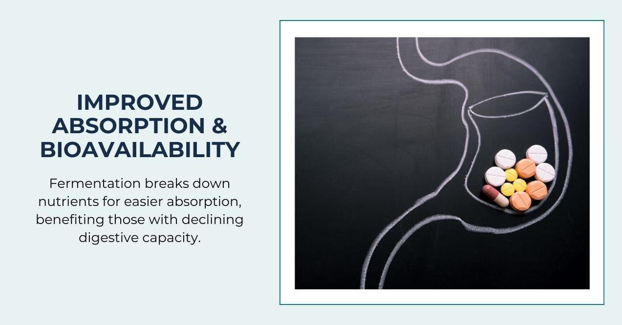 Chalk drawing of the digestive system with vitamins for better absorption.