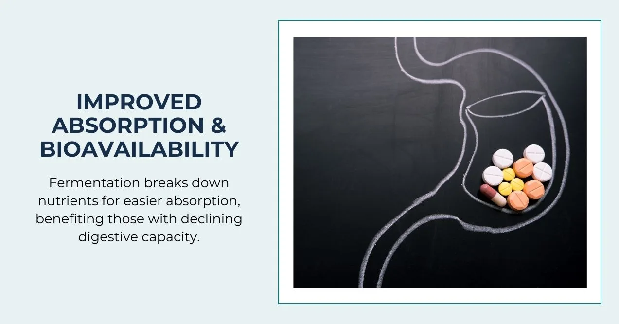 Chalk drawing of the digestive system with vitamins for better absorption.