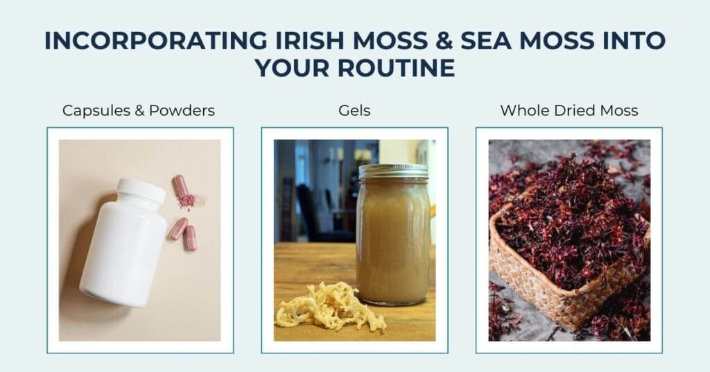 Capsules, gel, and dried moss forms of Irish moss and sea moss for daily use