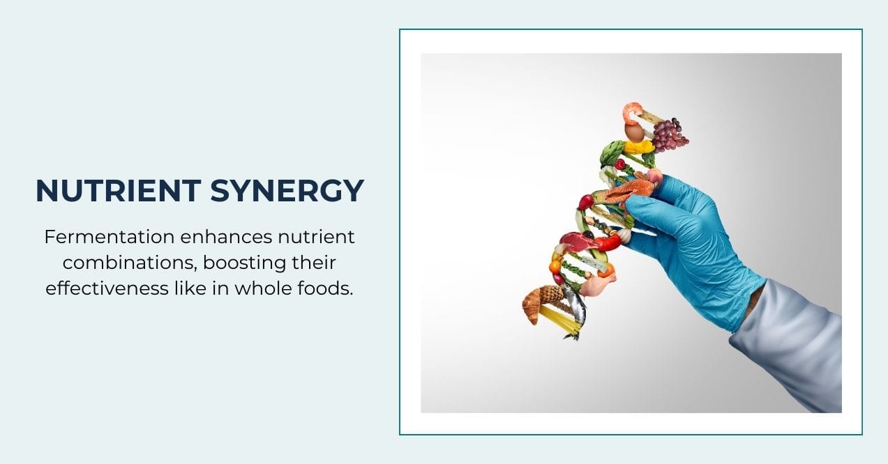 Hand holding a nutrient chain, symbolizing enhanced nutrient effectiveness.