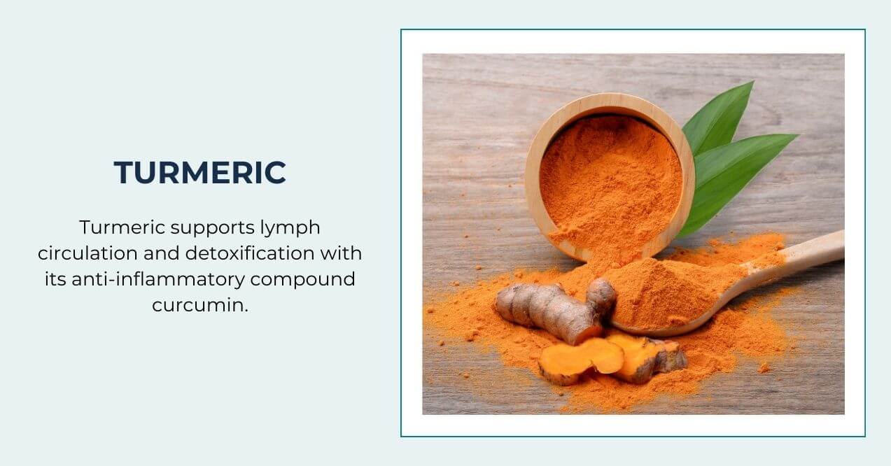 Turmeric powder and root displayed with leaves on a wooden table.