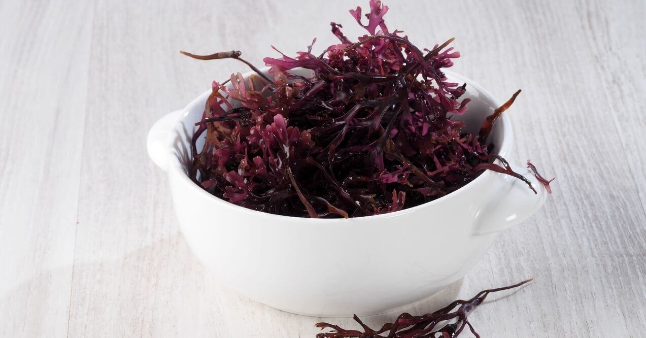 Close-up of purple Irish moss in a white bowl on a white table