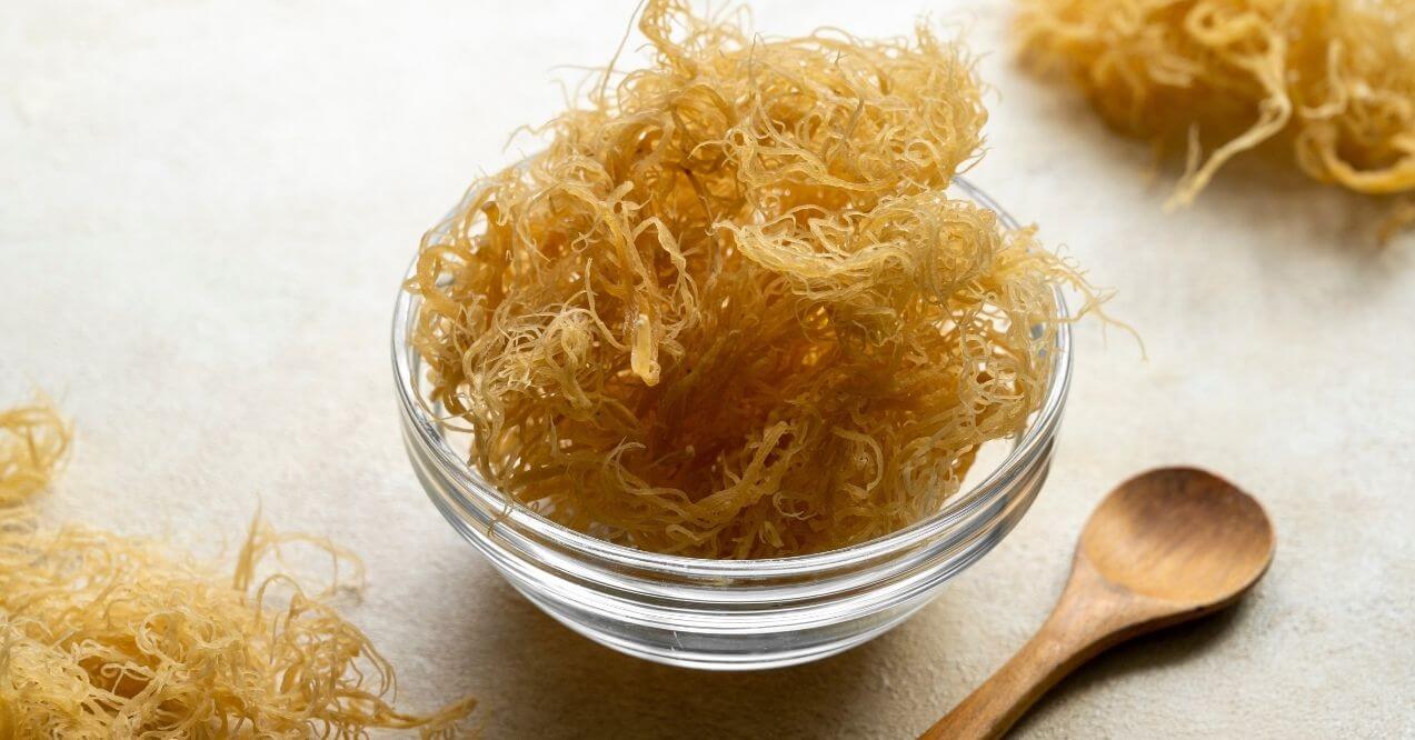 Golden dried sea moss in a clear glass bowl with a wooden spoon beside it