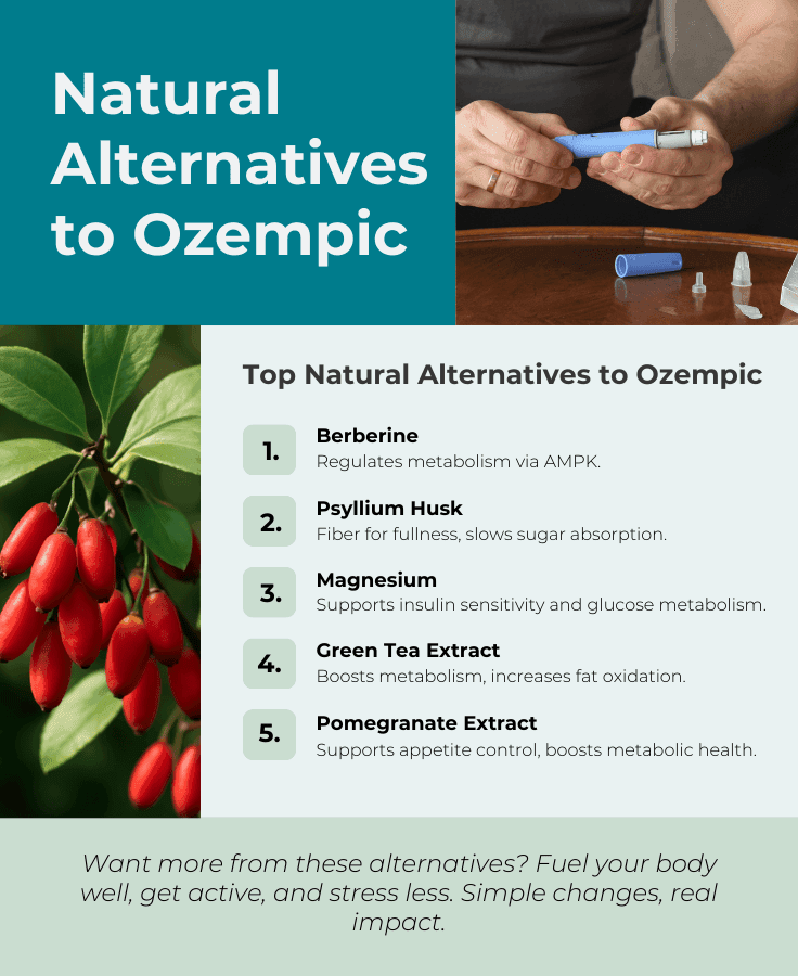 Infographic showing natural alternative to ozempic (Berberine Psyllium Husk Magnesium Green Tea Extract Pomegranate Extract)