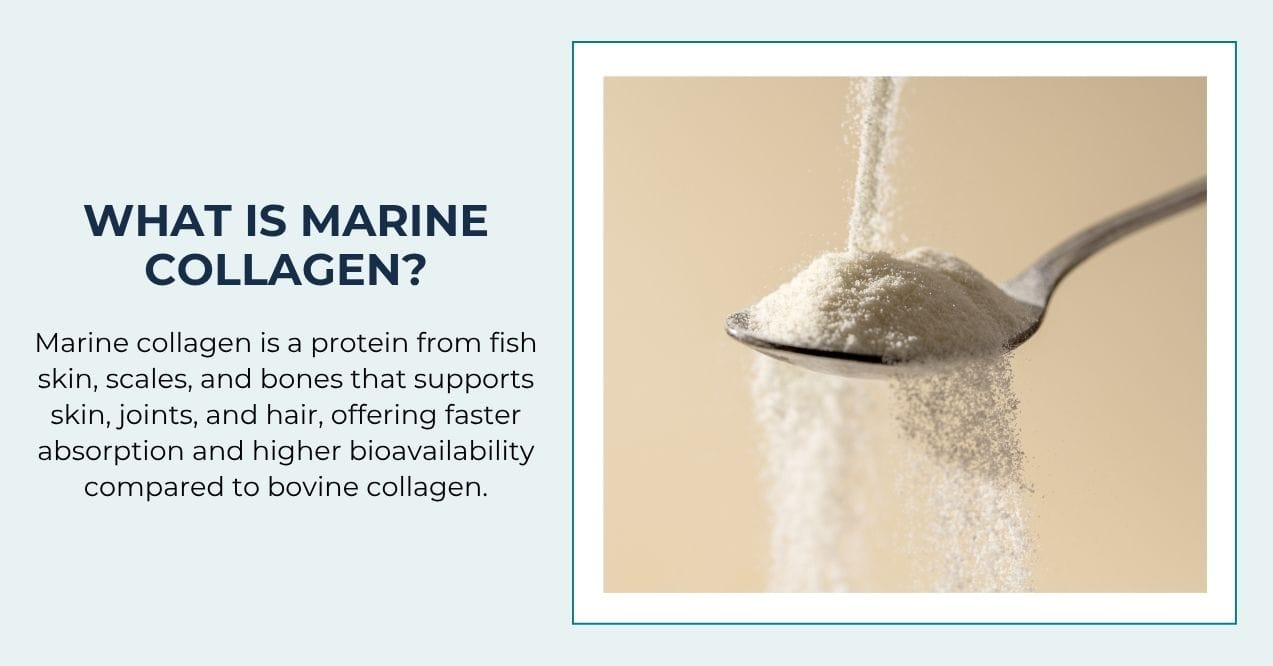 Marine collagen powder falling onto a spoon with text explaining marine collagen benefits.