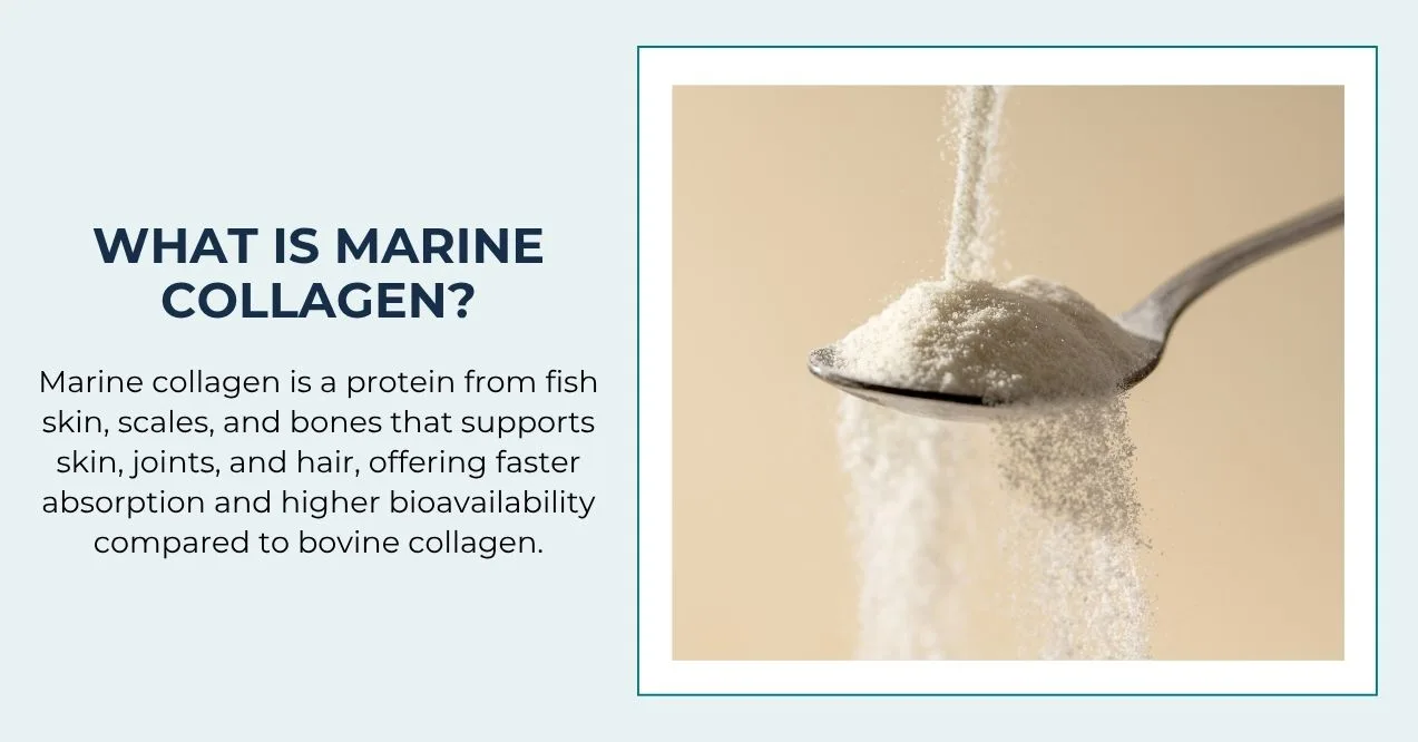 Marine collagen powder falling onto a spoon with text explaining marine collagen benefits.