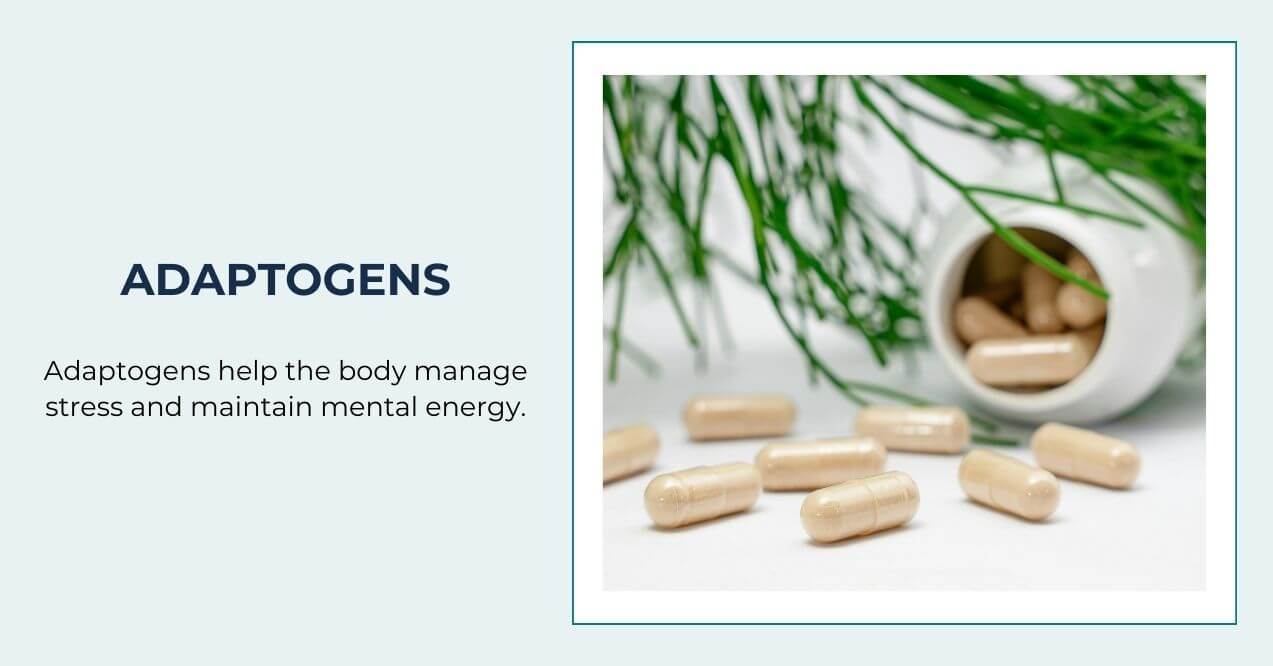 Adaptogen capsules spilled from a bottle with green plant in background