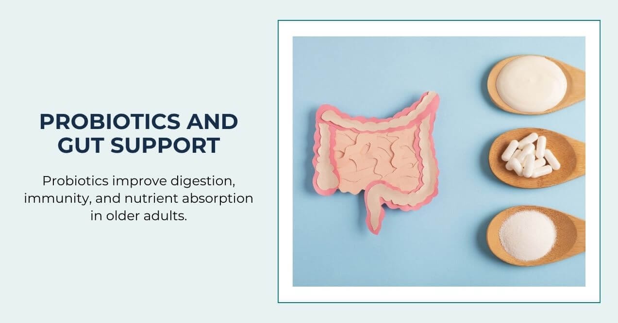 Probiotics and gut support concept with intestine illustration and supplements