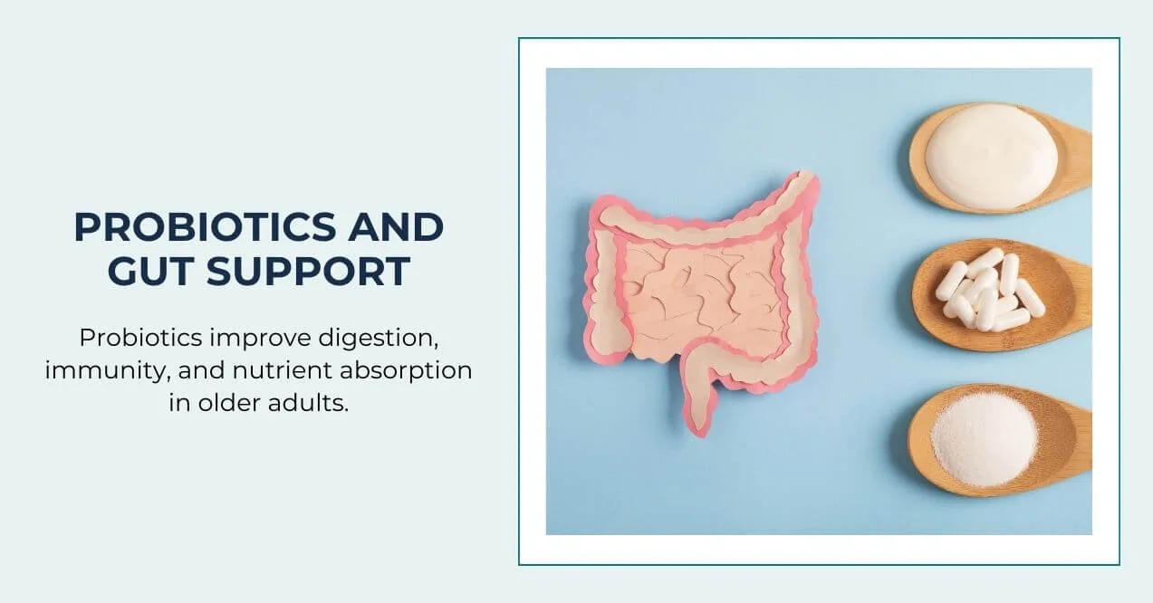 Probiotics and gut support concept with intestine illustration and supplements