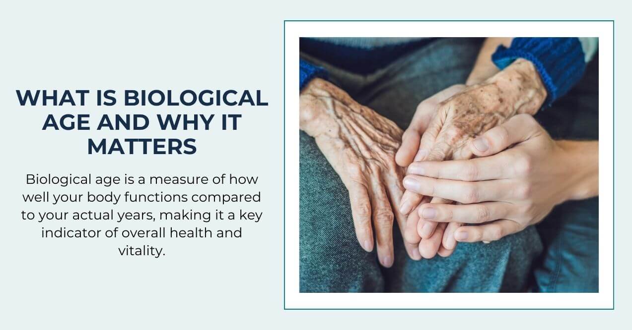 Elderly hands held by younger hands symbolizing biological age and vitality