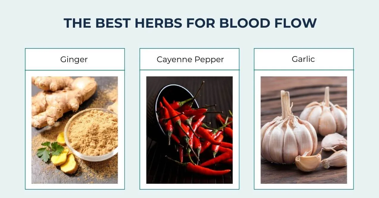Best herbs for blood flow including ginger, cayenne pepper, and garlic