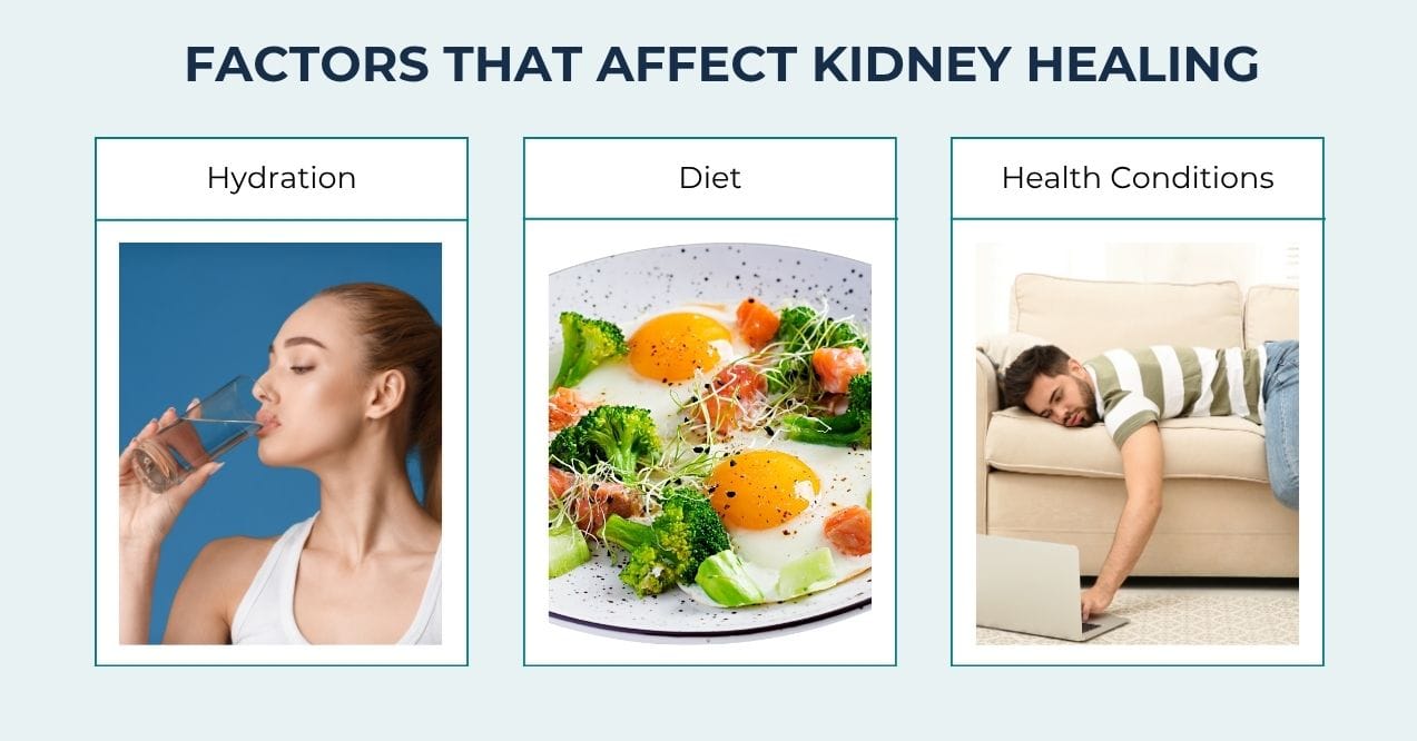 Hydration, diet, and health conditions infographic