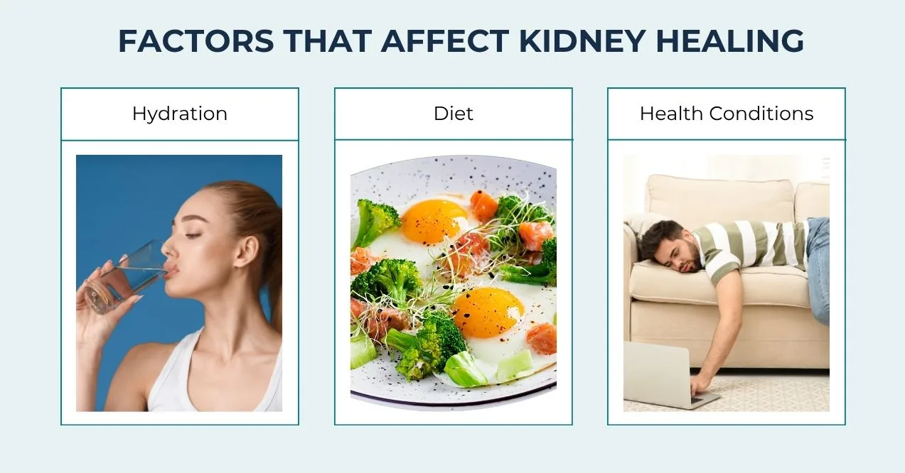 Hydration, diet, and health conditions infographic