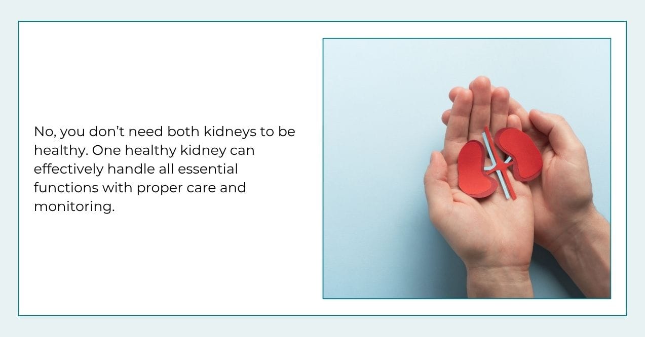 Hands holding two kidney-shaped models with text explaining that one healthy kidney is enough