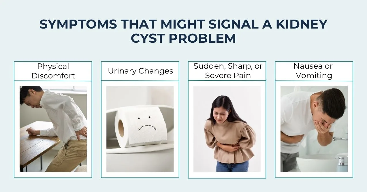 Kidney cyst warning signs infographic